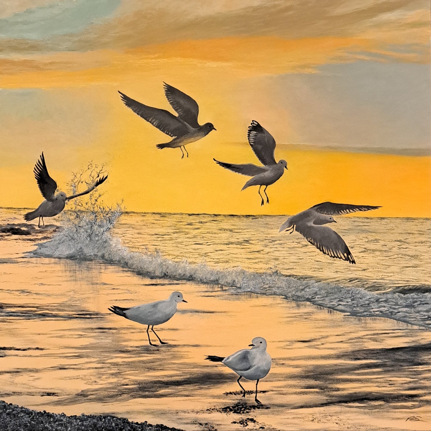 Sunrise Scramble Original Artwork — oil on canvas 74x74cm framed, seagulls at sunrise