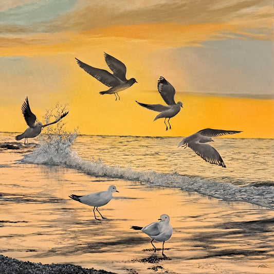 Sunrise Scramble Original Artwork — oil on canvas 74x74cm framed, seagulls at sunrise